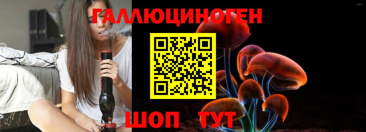 Псилоцибиновые грибы Psilocybe  Псилоцибиновые грибы ЛСД  Вход с VPN  продажа наркотиков  Подольск 